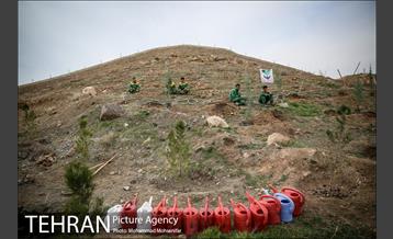 آئین کاشت نهال در بوستان جنگلی سرخه حصار 1