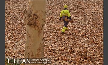 سومین رویداد هنری "پاییز برگ" در میدان مشق 48