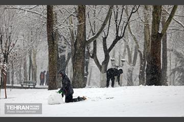 بارش برف در تهران 26