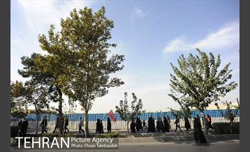 راهپیمایی جاماندگان اربعین حسینی در تهران 47