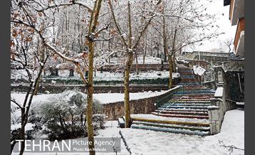 بارش برف زمستانی در تهران 17