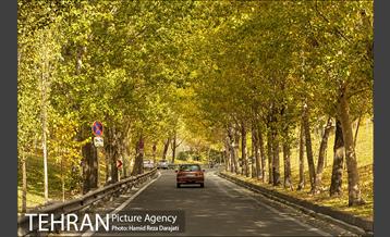 پاییز زیبای پایتخت- 2 13