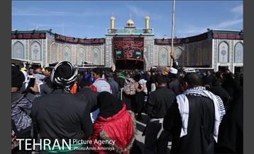 فعالیت های شهرداری تهران در شهرهای نجف و کربلا 8
