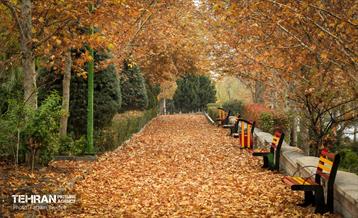 گذرگاه های پاییزی پایتخت - منطقه 5