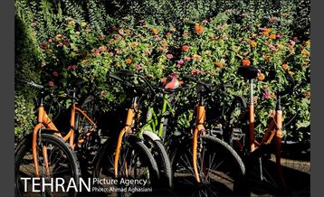 همایش دوچرخه سواری خانوادگی 7