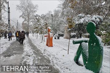 بارش اولین برف پاییزی در تهران 29