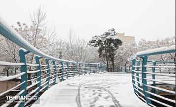 روز برفی تهران - 3 40
