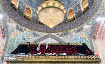 حرم مطهر امام علی (ع) در آستانه اربعین حسینی 23