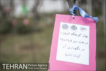 درختکاری و لانه گذاری کبوتر در بوستان بعثت 31