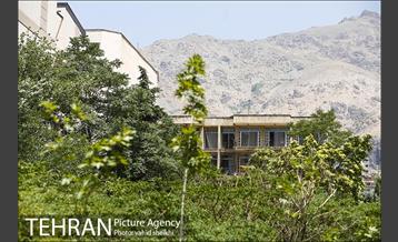 بوستان تندرستی 22