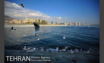 دریاچه شهدای خلیج فارس 41