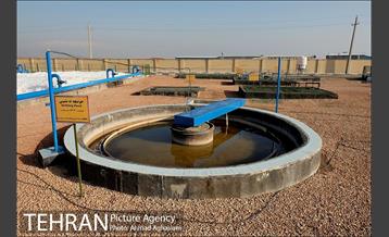 مجتمع پردازش و بازیافت زباله آراد کوه کهریزک  9