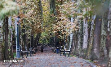 طبیعت پاییزی مجموعه فرهنگی تاریخی سعدآباد  4