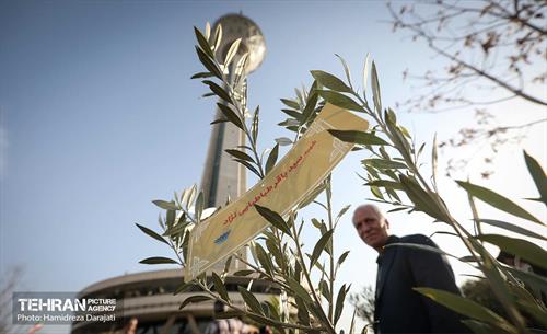 کاشت نهال به یاد شهدا در برج میلاد 13