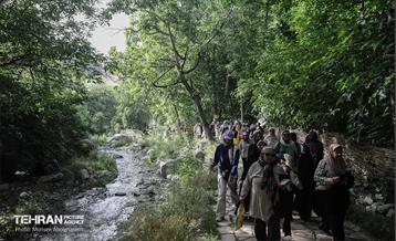 همایش پیاده روی خانوادگی در رود دره فرحزاد 71