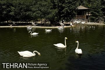 باغ پرندگان تهران 14