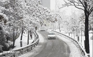 تردد در معابر شهری  8