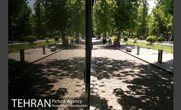 بوستان های خیابان ولیعصر 9