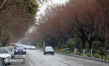 بارش باران زمستانی در تهران 5