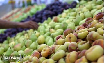 بازار میوه و تره‌بار مرواردید 6