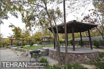 طبیعت پاییزی بوستان فدک 7