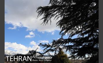 هوای پاک تهران 13