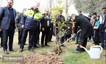 غرس ۱۱۰۰ نهال در منطقه ۱۱ 8