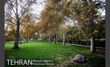 ورزش اسلک لاین 29