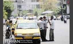 زیر آفتاب سوزان 18