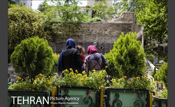 بوستان ساعی 14