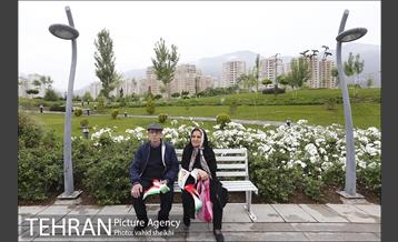 همایش پیاده روی خانوادگی بازنشستگان شهرداری تهران 20