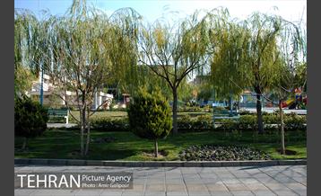 بوستان ارغوان مخصوص معلولین 16