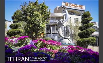 رنگ و بوی بهاری در خیابان های منطقه 7