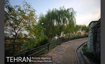 بوستان نهج البلاغه (فاز2) 21