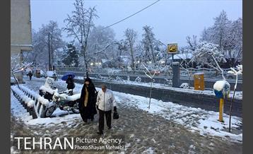 صبح برفی تهران 34