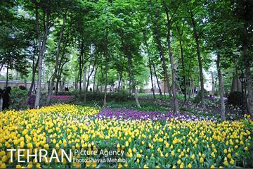 باغ ایراتی (بوستان مهندس مختاری) 26