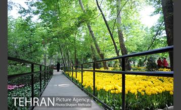 باغ ایراتی (بوستان مهندس مختاری) 30