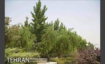 بوستان پردیس بانوان 10