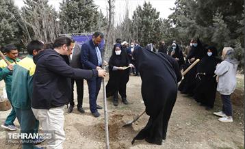 غرس ١٠٠ اصله نهال در دریاچه شهدای خلیج فارس با حضور خانواده شهدای هم محله‌ای 19