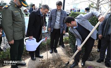 مراسم روز درختکاری در منطقه 12 10