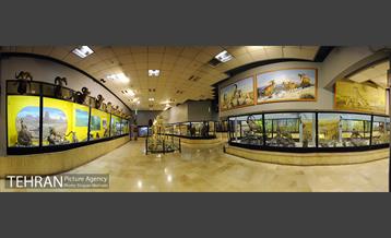 موزه حیات وحش پردیسان 50