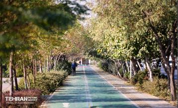 به وقت خدمت؛ باغ‌راه حضرت زهرا(س) محدوده آیت الله سعیدی 75