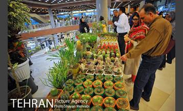 شانزدهمین نمایشگاه بین المللی گل و گیاه تهران - 2 41