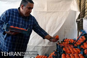 نخستین جشنواره خرمالو در روستای کشار سفلی 9