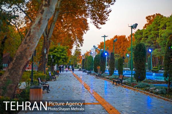 طبیعت پاییزی پارک شهر 1