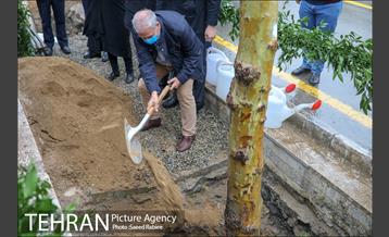آئین کاشت درخت زندگی 20