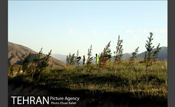 بازدید شهردار تهران از طرح‌های جنگل کاری شمال تهران  14