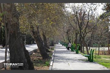 بهار در منطقه 18 10