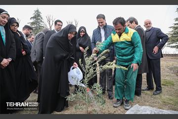 آئین روز درختکاری با حضور سفیران و نمایندگان کشورهای خارجی 15