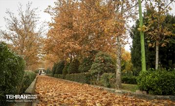 گذرگاه های پاییزی پایتخت - منطقه 5